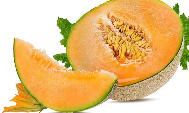 Perokok Wajib Baca, Berikut Manfaat Buah Melon